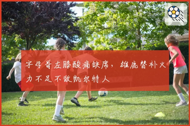 字母哥左膝酸痛缺席，雄鹿替补火力不足不敌凯尔特人