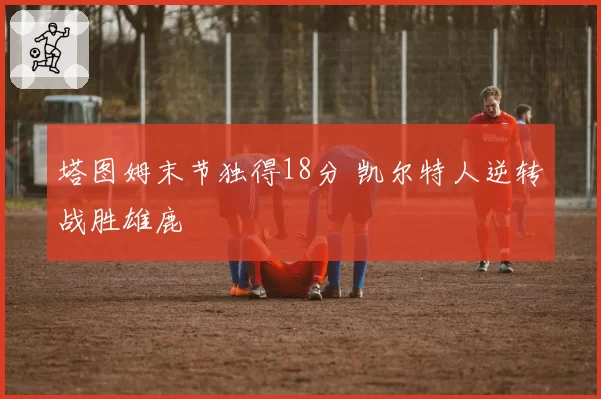 塔图姆末节独得18分 凯尔特人逆转战胜雄鹿